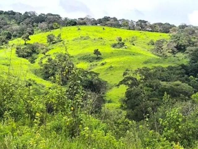 Sítio e chácara venda em Região Geográfica Imediata de Oliveira, Piracema