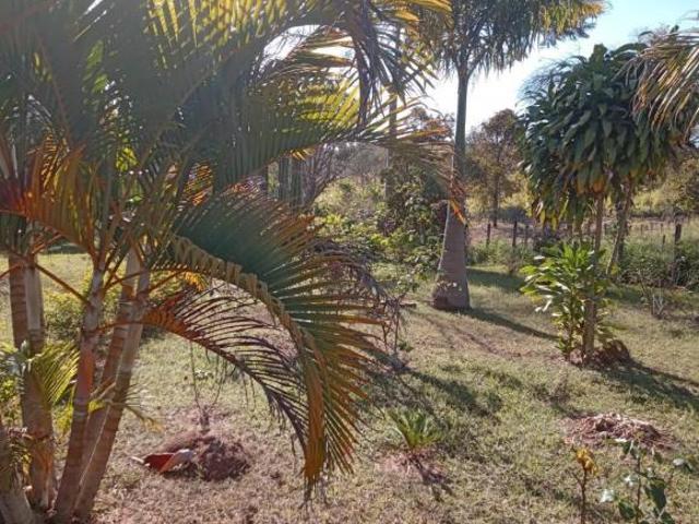 Sítio e chácara venda em Piracema