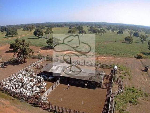 Sítio e chácara venda em Região Geográfica Imediata de Pirapora, Pirapora