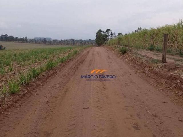 Sítio e chácara venda em Região Imediata de São Carlos, Região Metropolitana de Piracicaba