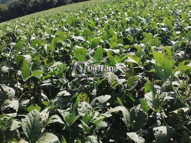 Sítio e chácara venda em Região Geográfica Imediata de Pelotas, Piratini