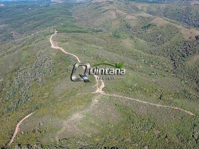 Sítio e chácara venda em Região Geográfica Imediata de Pelotas, Piratini