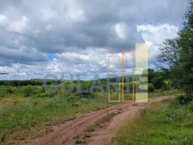 Sítio e chácara venda em Região Geográfica Imediata de Pelotas, Piratini