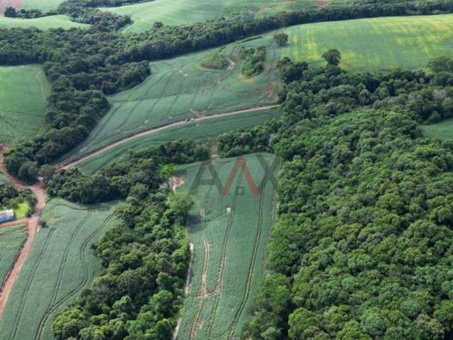 Sítio e chácara venda em Pitanga, Região Geográfica Intermediária de Guarapuava