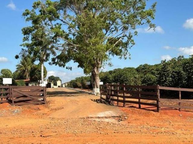 Sítio e chácara venda em Região Geográfica Imediata de Piumhi, Jerumenha