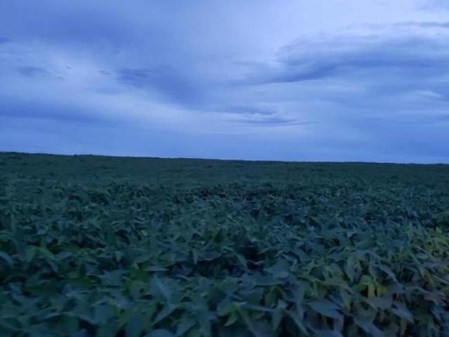 Sítio e chácara venda em Região Geográfica Imediata de Cuiabá, Planalto da Serra