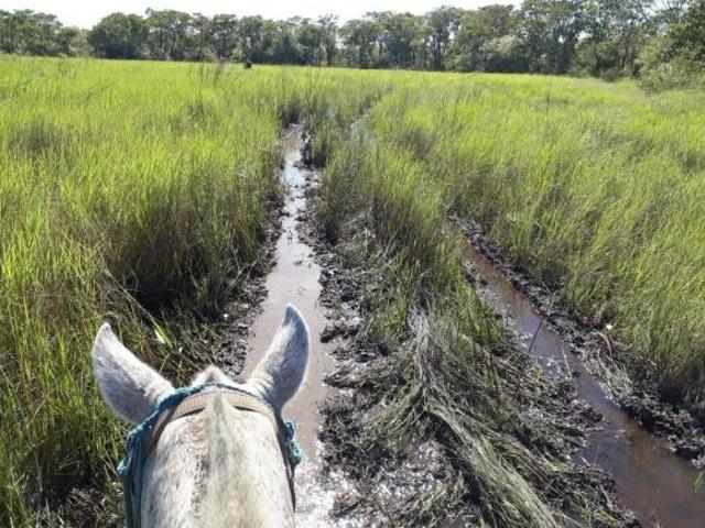 Sítio e chácara venda em Região Geográfica Imediata de Cuiabá, Poconé