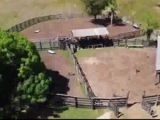 Sítio e chácara venda em Região Geográfica Imediata de Cuiabá, Poconé