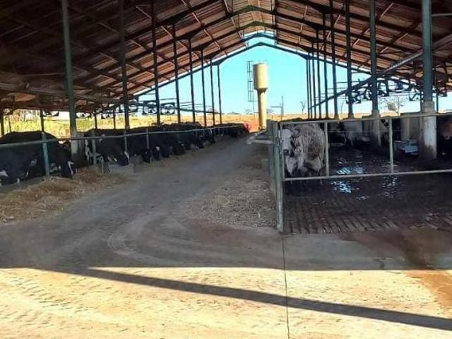 Sítio e chácara venda em Região Geográfica Imediata de Dores do Indaiá, Pompéu