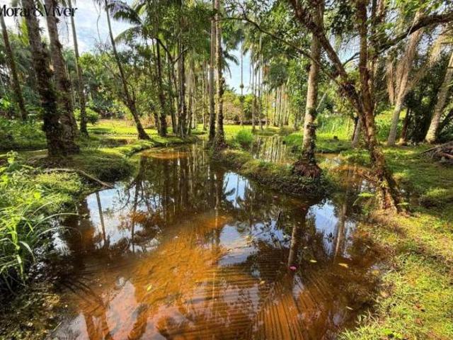 Sítio e chácara venda em Região Geográfica Imediata de Paranaguá, Guaraquecaba