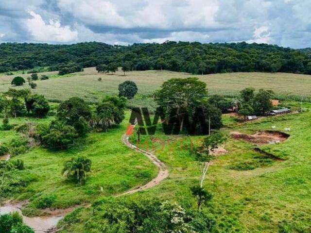Sítio e chácara venda em Região Geográfica Imediata de Piracanjuba, Pontalina