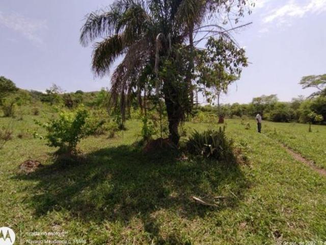 Sítio e chácara venda em Região Geográfica Imediata de Piracanjuba, Pontalina