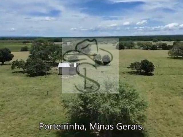 Sítio e chácara venda em Região Geográfica Imediata de Janaúba, Porteirinha