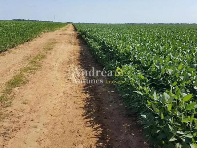 Sítio e chácara venda em Região Geográfica Imediata de Confresa - Vila Rica, Porto Alegre do Norte