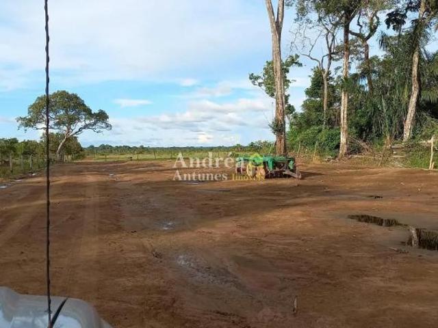 Sítio e chácara venda em Região Geográfica Imediata de Confresa - Vila Rica, Porto Alegre do Norte