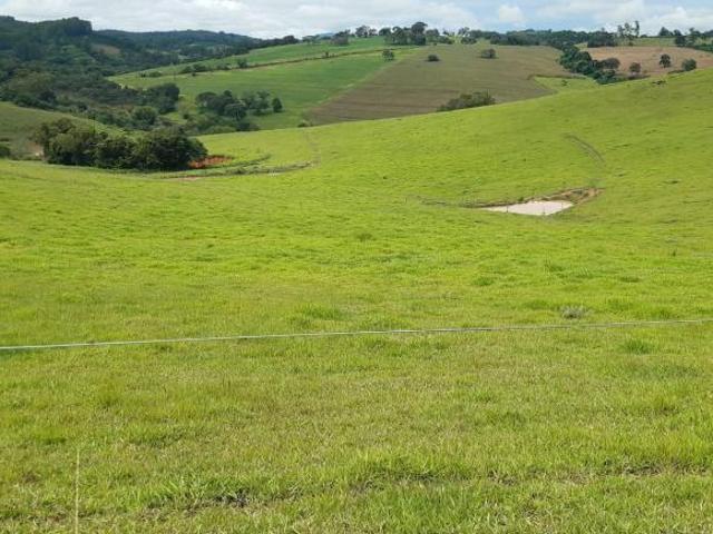 Sítio e chácara venda em Região Geográfica Imediata de Pouso Alegre, Pouso Alegre