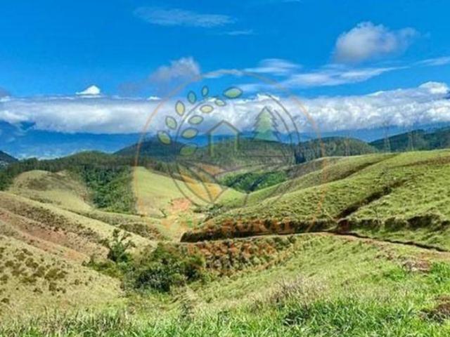 Sítio e chácara venda em Região Imediata de Cruzeiro, Região Metropolitana do Vale do Paraíba e Litoral Norte