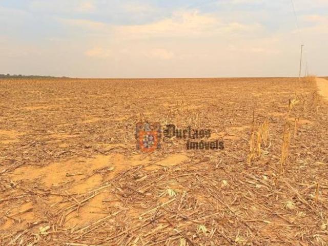 Sítio e chácara venda em Região Geográfica Imediata de Água Boa, Querência