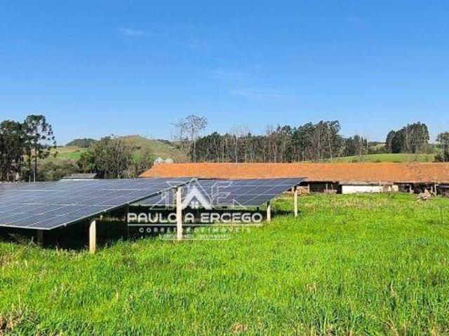 Sítio e chácara venda em Região Geográfica Imediata de Francisco Beltrão, Renascença