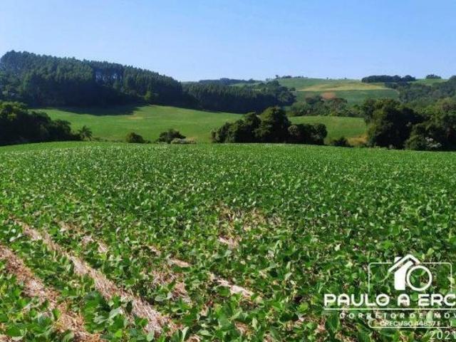 Sítio e chácara venda em Região Geográfica Imediata de Francisco Beltrão, Renascença