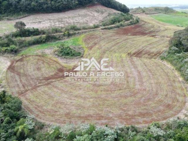 Sítio e chácara venda em Região Geográfica Imediata de Francisco Beltrão, Renascença