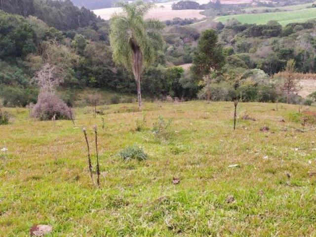 Sítio e chácara venda em Região Geográfica Imediata de Francisco Beltrão, Renascença