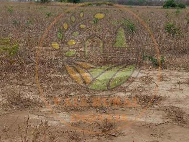 Sítio e chácara venda em Região Geográfica Imediata de Unaí, Riachinho