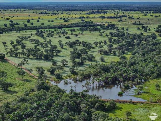 Sítio e chácara venda em Região Geográfica Imediata de Campo Grande, Ribas do Rio Pardo