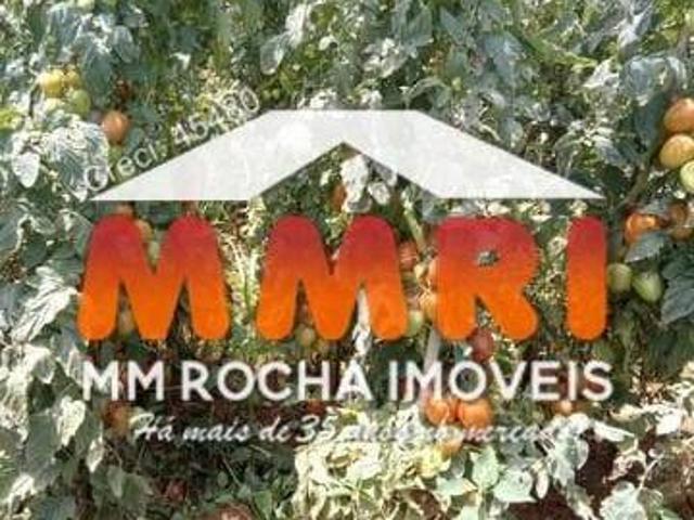 Sítio e chácara venda em Região Imediata de Itapeva, Ribeirão Branco