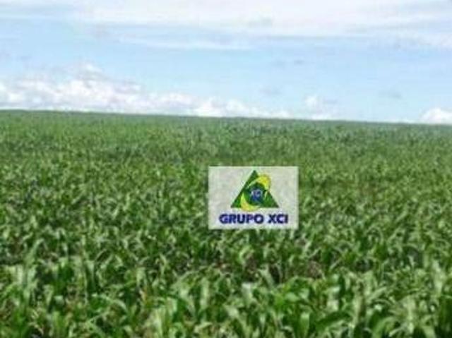 Sítio e chácara venda em Região Geográfica Imediata de Água Boa, Ribeirão Cascalheira