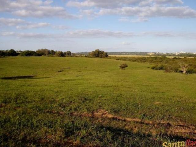 Sítio e chácara venda em Região Geográfica Imediata de Pelotas, Santa Vitória do Palmar