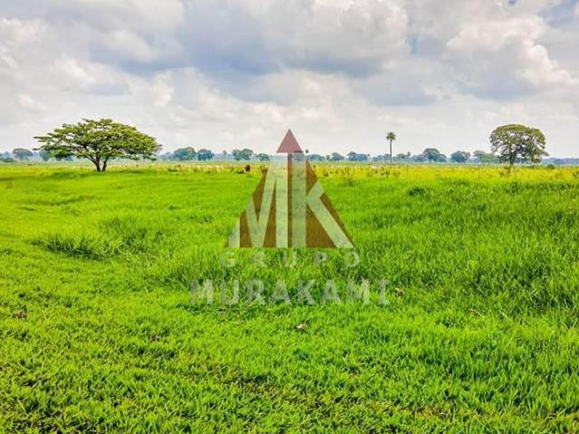 Sítio e chácara venda em Região Geográfica Imediata de Campo Grande, Rochedo