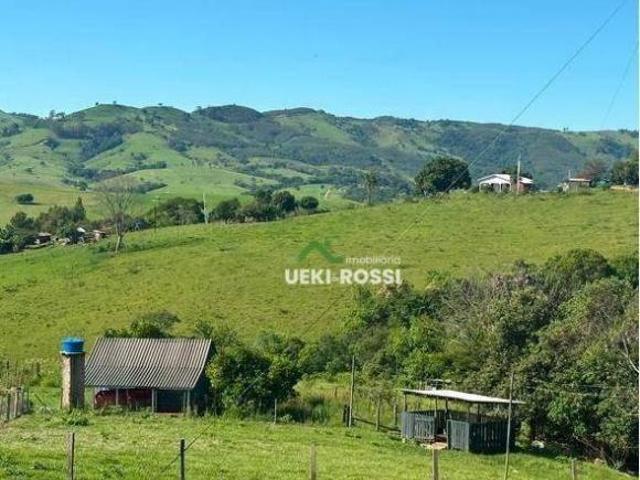 Sítio e chácara venda em Rosário do Ivaí, Região Geográfica Intermediária de Londrina