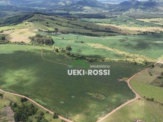 Sítio e chácara venda em Rio Branco do Ivaí, Região Geográfica Intermediária de Londrina