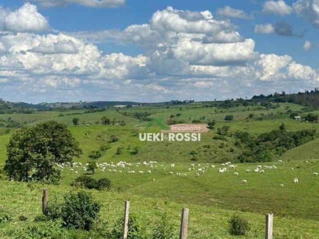 Sítio e chácara venda em Região Geográfica Imediata de Ivaiporã, Rosário do Ivaí