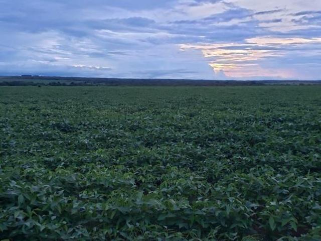 Sítio e chácara venda em Nossa Senhora de Aparecida, Rosário Oeste