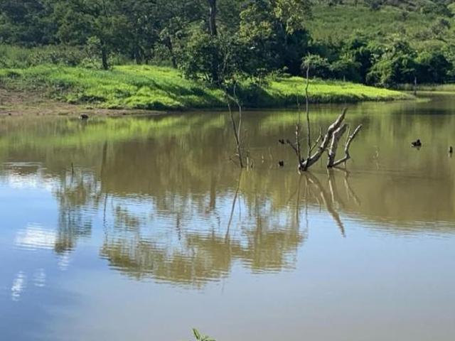 Sítio e chácara venda em Região Geográfica Imediata de Unaí, Região Integrada de Desenvolvimento do Distrito Federal e Entorno