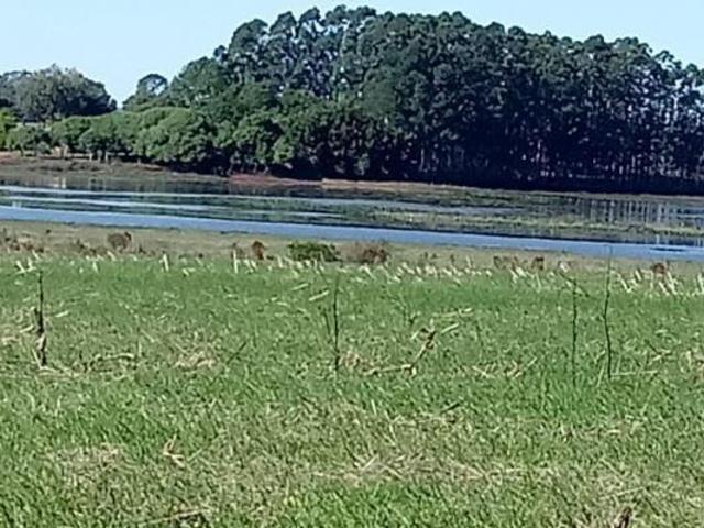 Sítio e chácara venda em Região Geográfica Imediata de São Borja, São Borja