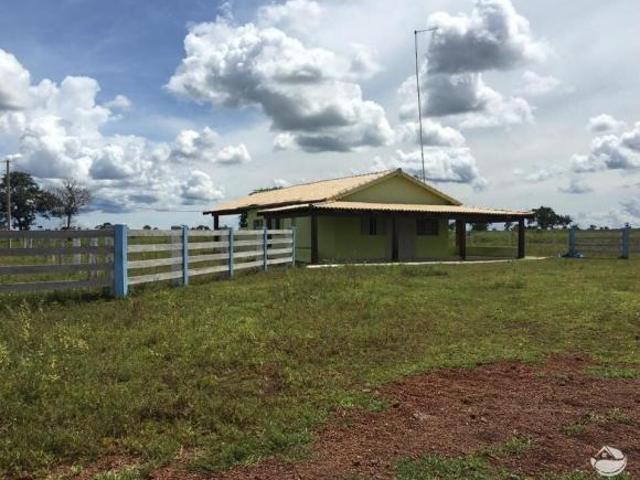 Sítio e chácara venda em São Félix do Araguaia, Região Geográfica Intermediária de Barra do Garças