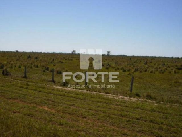 Sítio e chácara venda em Região Geográfica Imediata de Confresa - Vila Rica, São Felix do Araguaia
