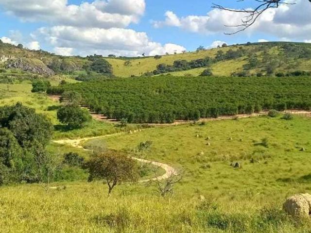 Sítio e chácara venda em São Francisco de Paula, Região Geográfica Intermediária de Divinópolis