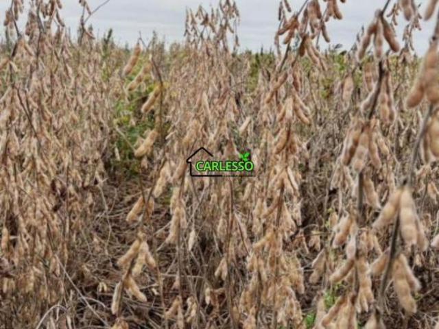 Sítio e chácara venda em Região Geográfica Imediata de São Gabriel - Caçapava do Sul, São Gabriel