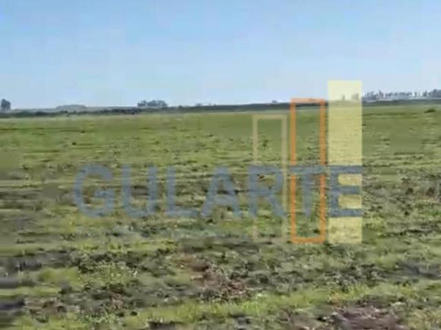 Sítio e chácara venda em Região Geográfica Imediata de São Gabriel - Caçapava do Sul, São Gabriel