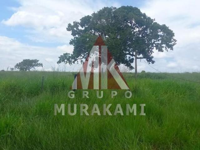 Sítio e chácara venda em Região Geográfica Imediata de Campo Grande, São Gabriel do Oeste