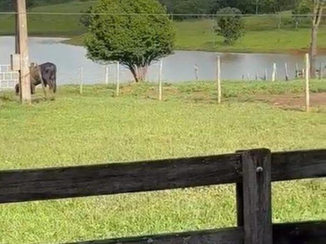 Sítio e chácara venda em Região Geográfica Imediata de Patos de Minas, São Gonçalo do Abaeté