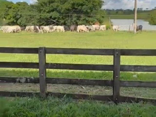 Sítio e chácara venda em São Gonçalo do Abaeté