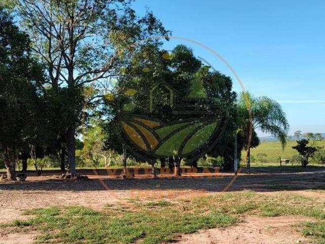 Sítio e chácara venda em Região Geográfica Imediata de Patos de Minas, São Gonçalo do Abaeté