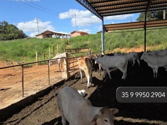 Sítio e chácara venda em Região Geográfica Imediata de Varginha, São Gonçalo do Sapucaí