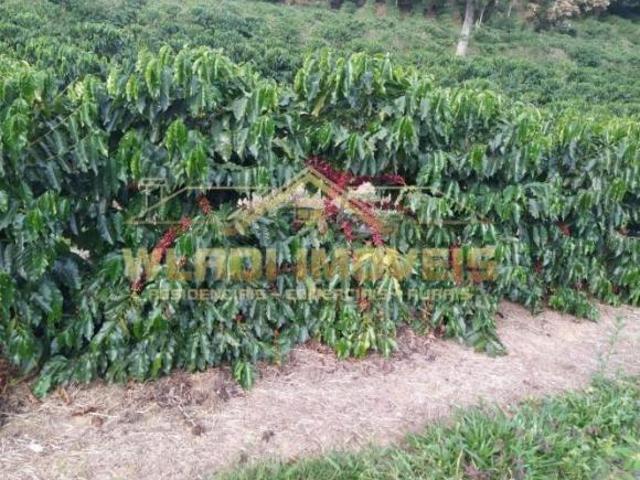Sítio e chácara venda em Região Geográfica Imediata de Varginha, São Gonçalo do Sapucaí