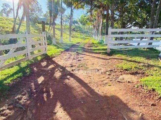 Sítio e chácara venda em Região Geográfica Imediata de Cornélio Procópio-Bandeirantes, São Jerônimo da Serra